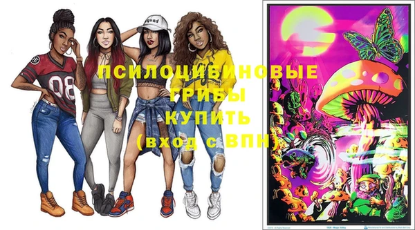 spice Алексеевка
