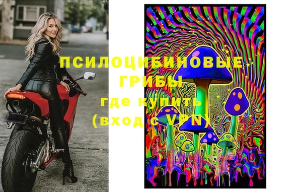 mdpv Алзамай